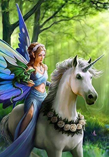 Realm of Enchantment Unicorn Fairy Blank Birthday Card Anne Stokes Gothic Art